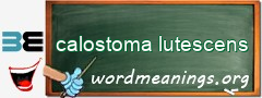 WordMeaning blackboard for calostoma lutescens